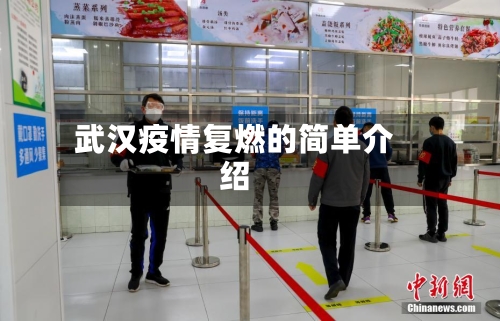 武汉疫情复燃的简单介绍-第2张图片