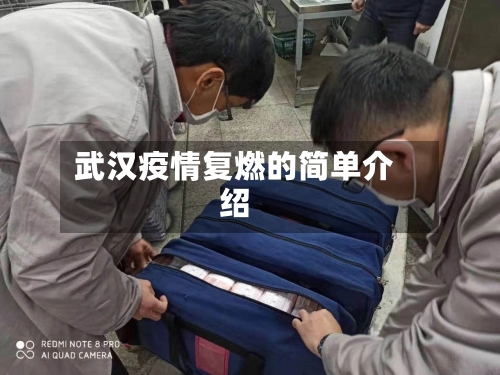 武汉疫情复燃的简单介绍