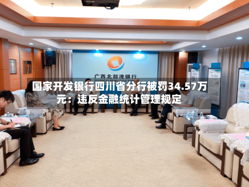 国家开发银行四川省分行被罚34.57万元：违反金融统计管理规定