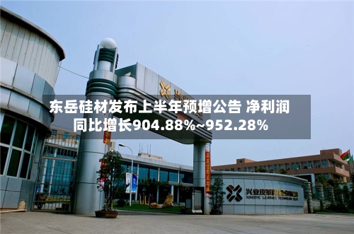 东岳硅材发布上半年预增公告 净利润同比增长904.88%~952.28%