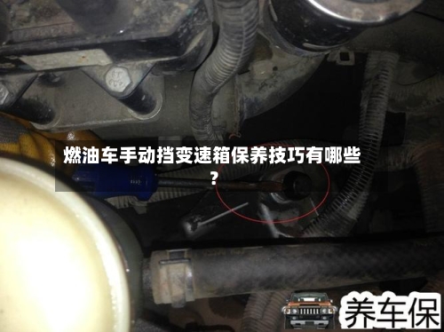 燃油车手动挡变速箱保养技巧有哪些？