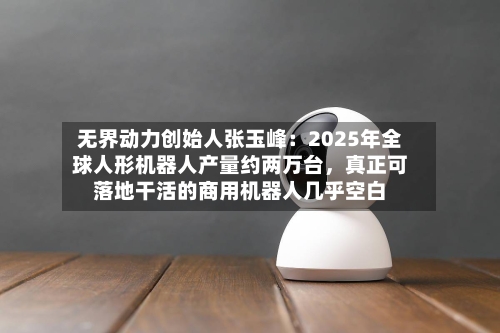 无界动力创始人张玉峰：2025年全球人形机器人产量约两万台，真正可落地干活的商用机器人几乎空白-第3张图片