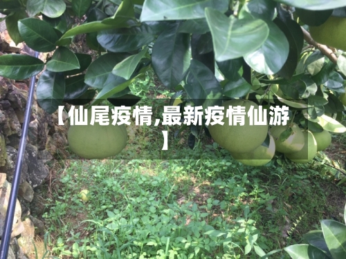 【仙尾疫情,最新疫情仙游】-第2张图片