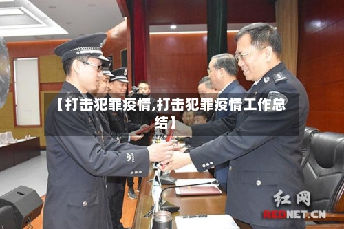 【打击犯罪疫情,打击犯罪疫情工作总结】-第3张图片