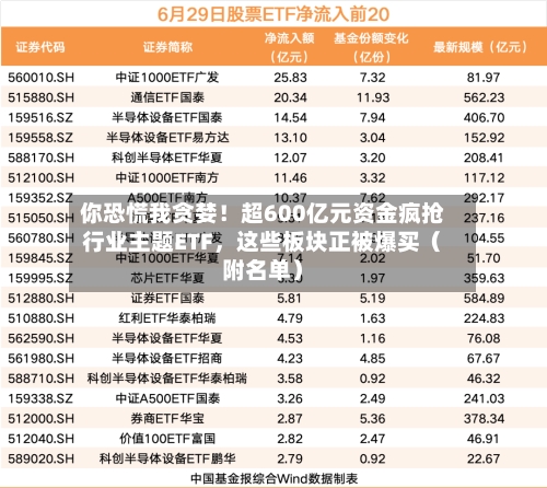 你恐慌我贪婪！超600亿元资金疯抢行业主题ETF，这些板块正被爆买（附名单）-第3张图片