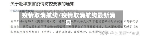 疫情取消航线/疫情取消航线最新消息-第2张图片