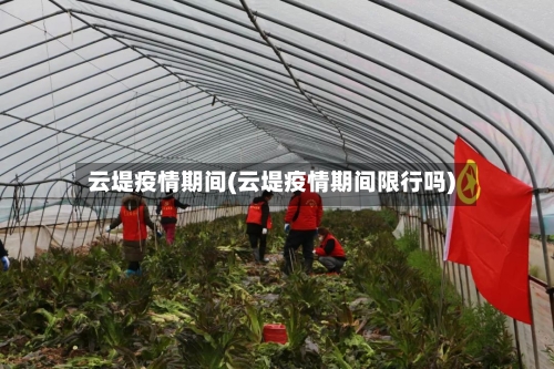 云堤疫情期间(云堤疫情期间限行吗)