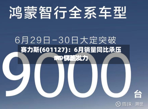 赛力斯(601127)：6月销量同比承压 M〖陆〗、M9快速发力-第3张图片