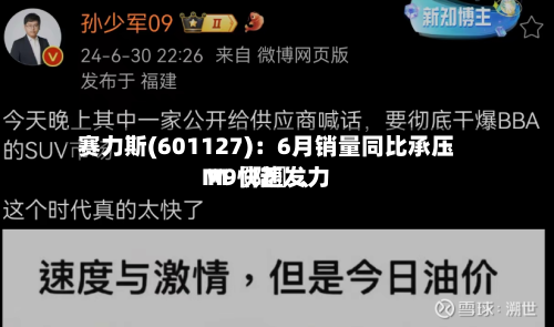 赛力斯(601127)：6月销量同比承压 M〖陆〗、M9快速发力-第3张图片