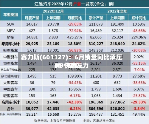 赛力斯(601127)：6月销量同比承压 M〖陆〗、M9快速发力-第2张图片