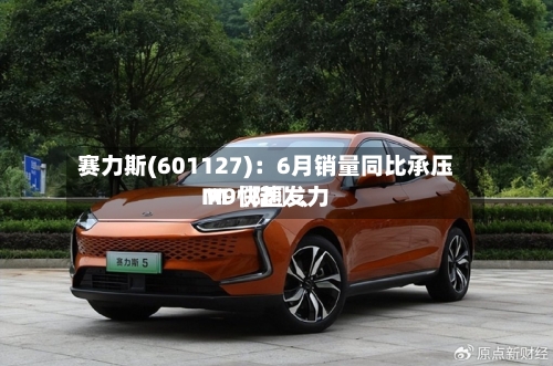 赛力斯(601127)：6月销量同比承压 M〖陆〗、M9快速发力-第2张图片