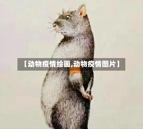 【动物疫情绘画,动物疫情图片】-第2张图片