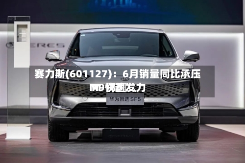 赛力斯(601127)：6月销量同比承压 M〖陆〗、M9快速发力-第2张图片