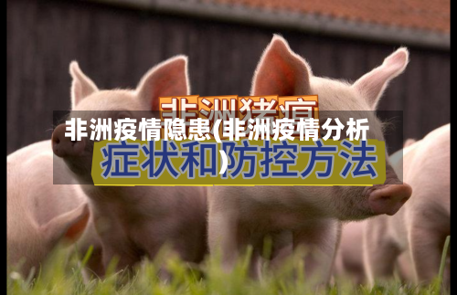 非洲疫情隐患(非洲疫情分析)-第2张图片
