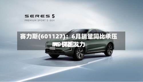赛力斯(601127)：6月销量同比承压 M〖陆〗、M9快速发力
