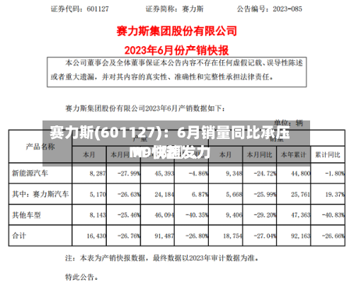 赛力斯(601127)：6月销量同比承压 M〖陆〗、M9快速发力