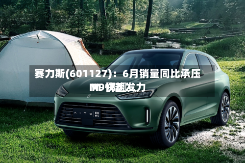 赛力斯(601127)：6月销量同比承压 M〖陆〗、M9快速发力-第2张图片