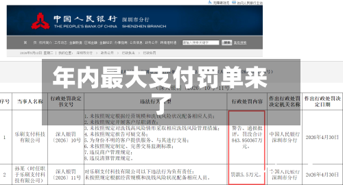 年内最大支付罚单来了-第2张图片