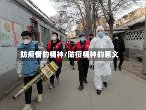 防疫情的精神/防疫精神的意义