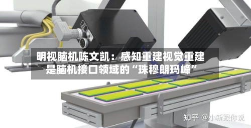 明视脑机陈文凯：感知重建视觉重建是脑机接口领域的“珠穆朗玛峰”-第2张图片