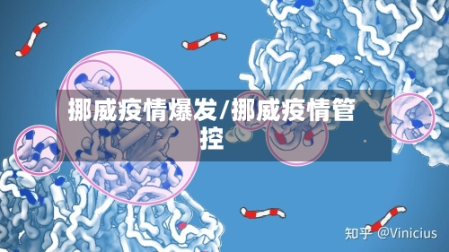挪威疫情爆发/挪威疫情管控