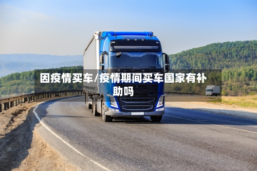 因疫情买车/疫情期间买车国家有补助吗-第3张图片