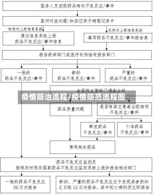 疫情防治流程/疫情防范流程图-第2张图片