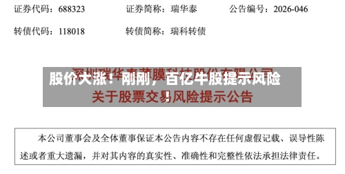 股价大涨！刚刚	，百亿牛股提示风险！-第2张图片