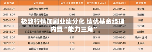 极致行情加剧业绩分化 绩优基金经理内置“能力三角”-第3张图片