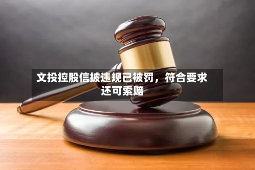 文投控股信披违规已被罚，符合要求还可索赔