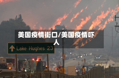 美国疫情街口/美国疫情吓人