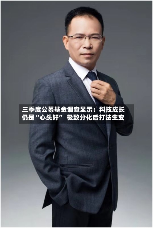 三季度公募基金调查显示：科技成长仍是“心头好”  极致分化后打法生变-第2张图片