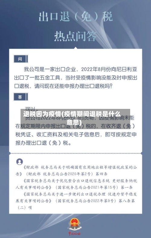 退税因为疫情(疫情期间退税是什么意思)-第3张图片