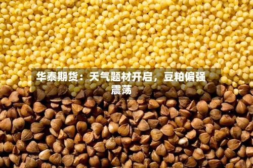 华泰期货：天气题材开启，豆粕偏强震荡-第2张图片