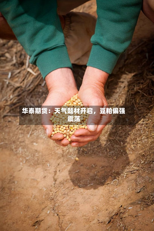 华泰期货：天气题材开启，豆粕偏强震荡