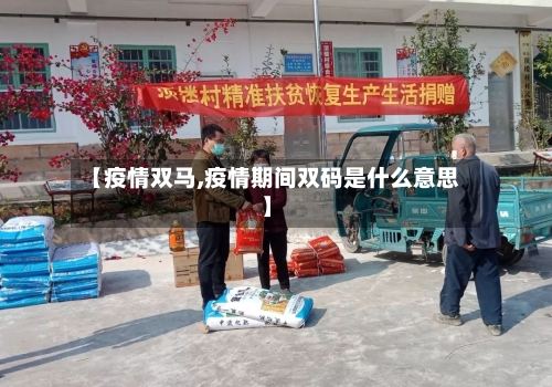 【疫情双马,疫情期间双码是什么意思】