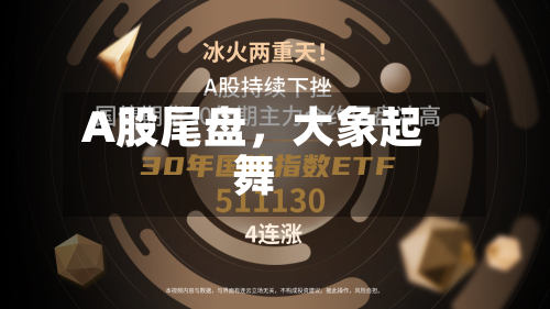 A股尾盘，大象起舞-第3张图片