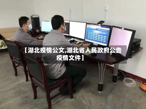【湖北疫情公文,湖北省人民政府公告疫情文件】-第2张图片