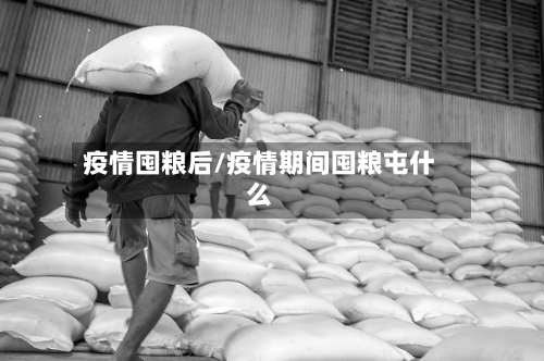 疫情囤粮后/疫情期间囤粮屯什么-第2张图片