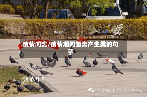 疫情间离/疫情期间距离产生美的句子
