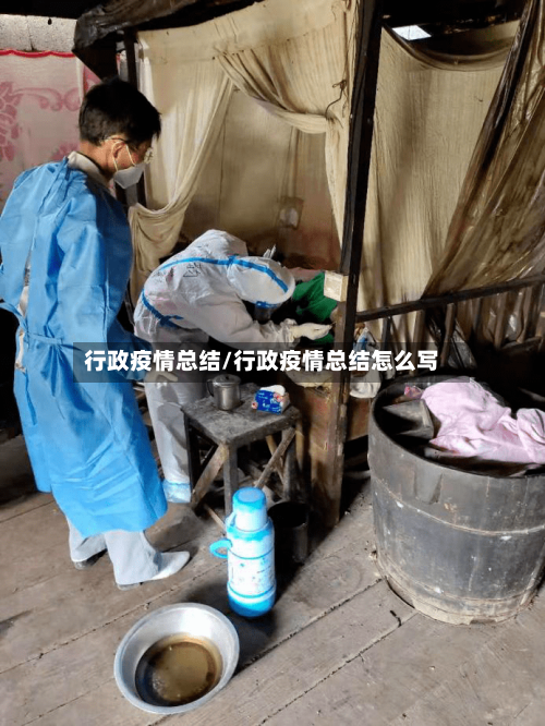 行政疫情总结/行政疫情总结怎么写
