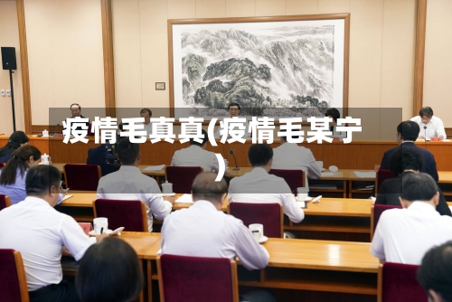 疫情毛真真(疫情毛某宁)-第3张图片