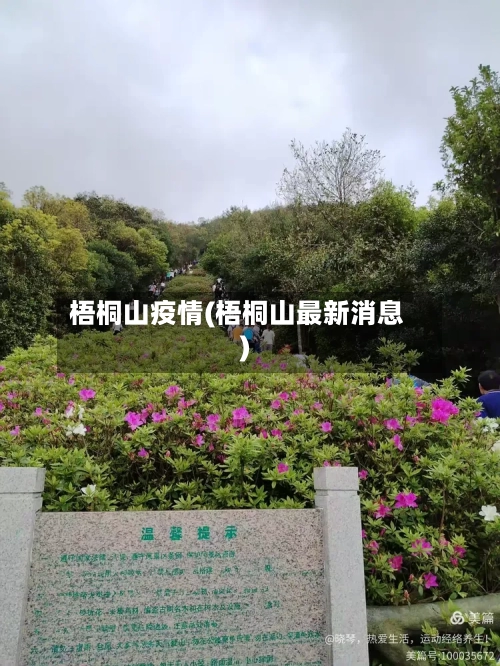 梧桐山疫情(梧桐山最新消息)
