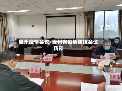 贵州疫情会议/贵州省疫情防控会议精神-第2张图片