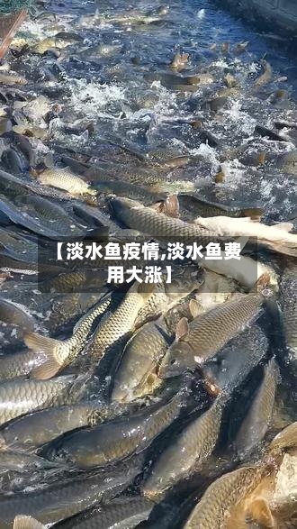 【淡水鱼疫情,淡水鱼费用大涨】