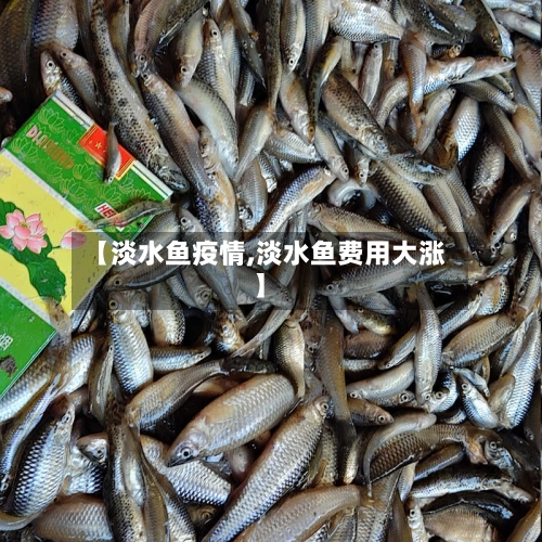 【淡水鱼疫情,淡水鱼费用大涨】-第2张图片
