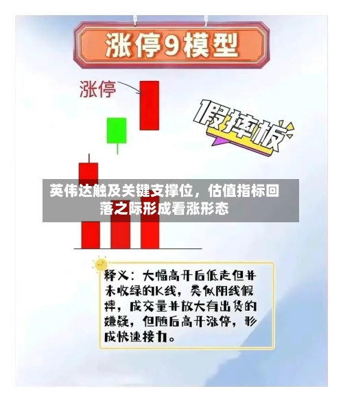 英伟达触及关键支撑位，估值指标回落之际形成看涨形态-第2张图片