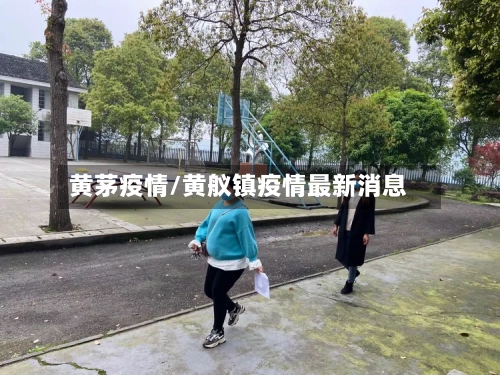 黄茅疫情/黄舣镇疫情最新消息