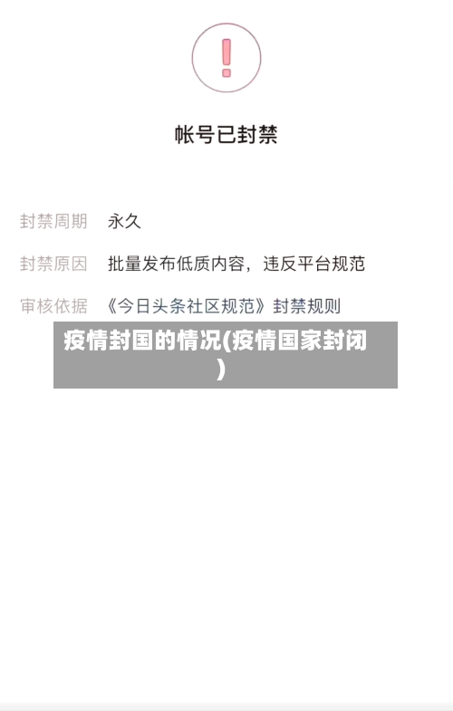 疫情封国的情况(疫情国家封闭)-第3张图片