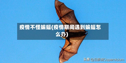 疫情不怪蝙蝠(疫情期间遇到蝙蝠怎么办)-第3张图片